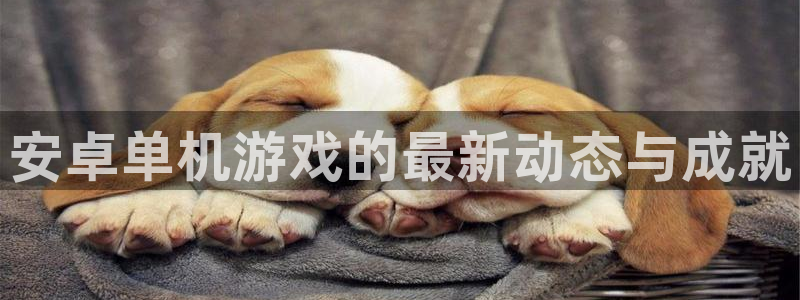 多彩娱乐注册登录：安卓单机游戏的最新动态与成就