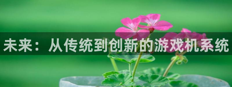 多彩娱乐直属