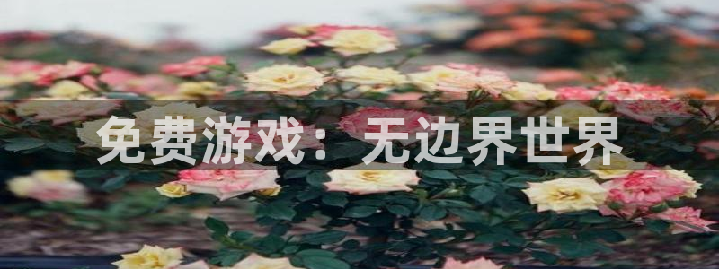 多彩娱乐网页登录入口下载：免费游戏：无边界世界