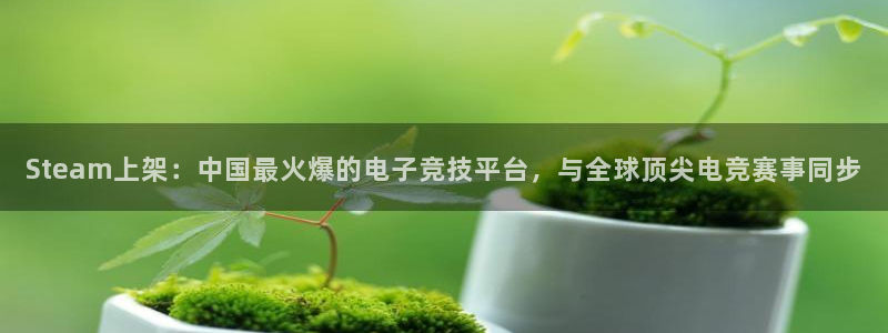 多彩娱乐平台负责人:Steam上架:中国最火爆的电子竞技平台