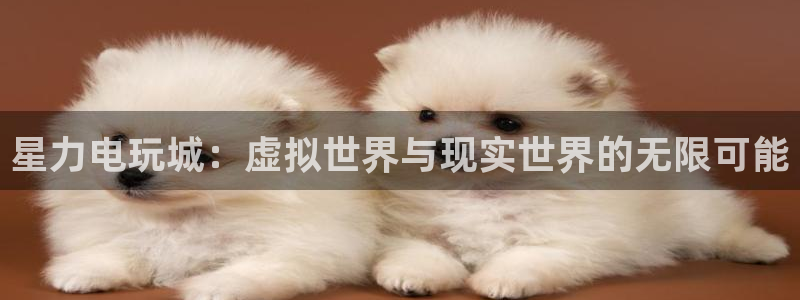 多彩娱乐平台官网入口：星力电玩城：虚拟世界与现实世界的无限可