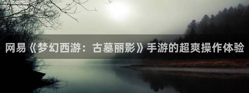 多彩联盟8年以上平台有哪些：网易《梦幻西游：古墓丽影》手游的