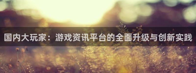 多彩联盟8年以上平台怎么样：国内大玩家：游戏资讯平台的全面升